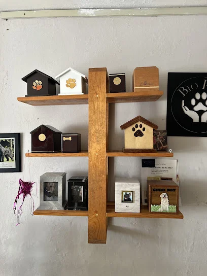 Biopet funeral ecológico para mascotas