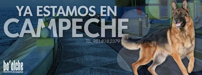 Crematorio De Mascotas Ba'alche