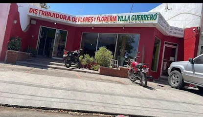 Distribuidora de Flores y Florería Villa Guerrero