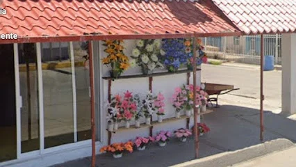 Dmary Floreria