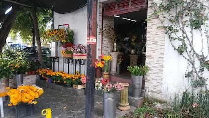 Florencia Florería