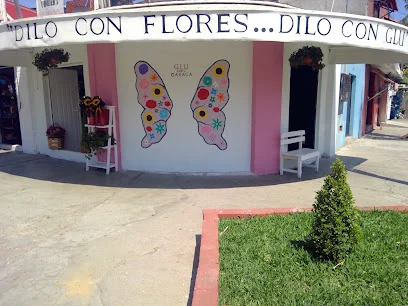 FLORERIA GLU D&V Oaxaca