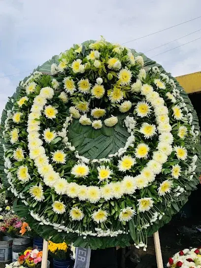 Florería Jazmin / Flowers México