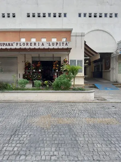 Florería Lupita Misantla