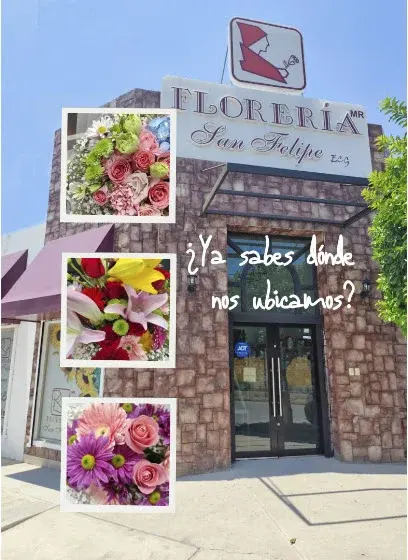 Florería San Felipe