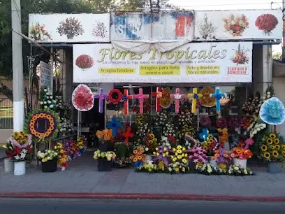 Flores tropicales