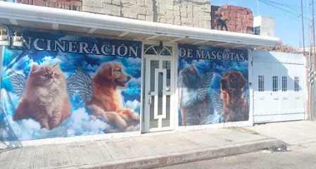 Incineración De Mascotas