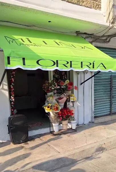 Mi linda Margarita Florería