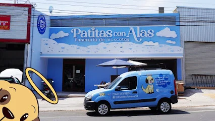 Patitas con Alas